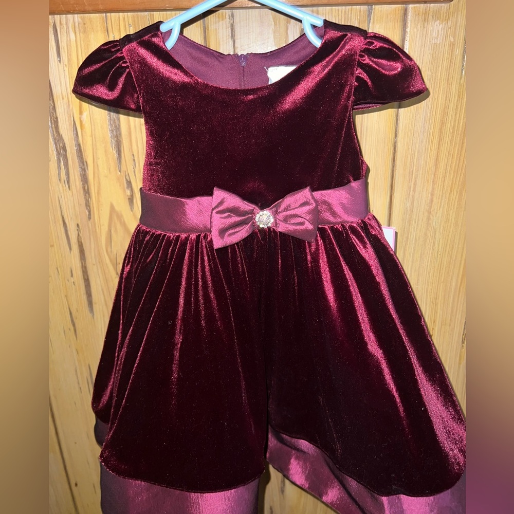 Burgundy Rare Editions dress